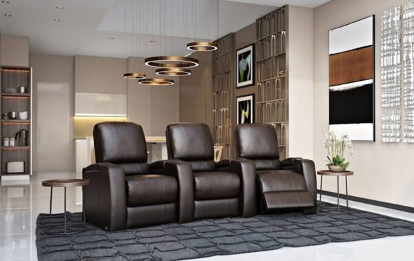Leather Theater Seating