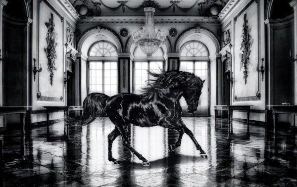 Black Horse