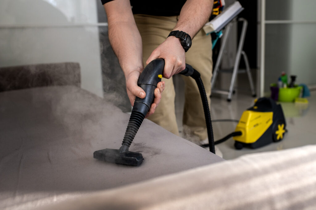deep cleaning sofa for easy furniture refresh